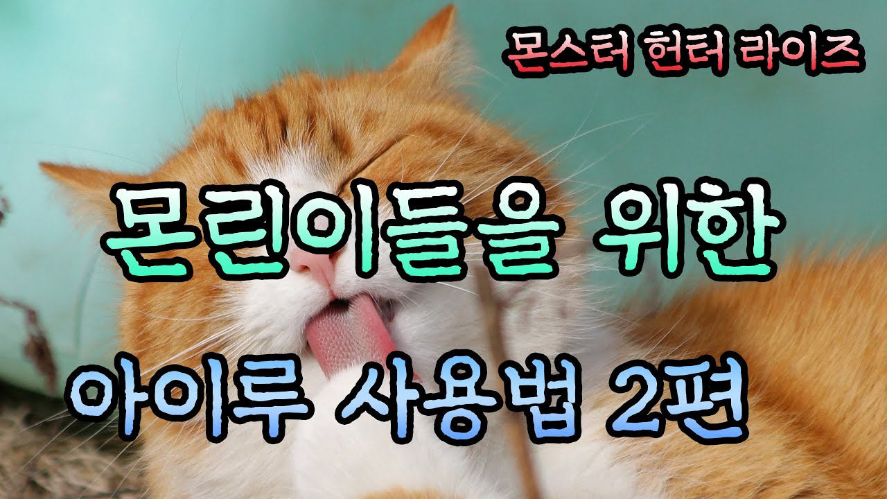 [몬스터헌터 라이즈] 몬린이들을 위한 아이루 사용법 2편!!