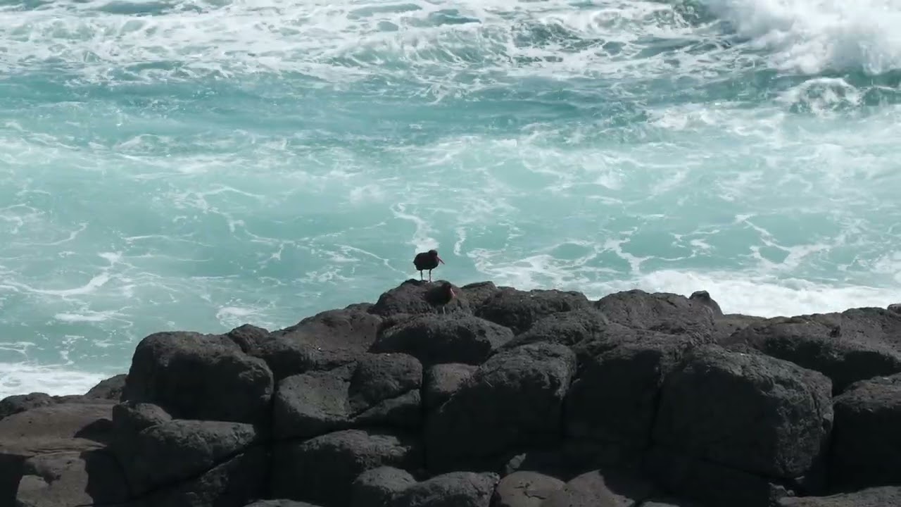 Fingal Head 26