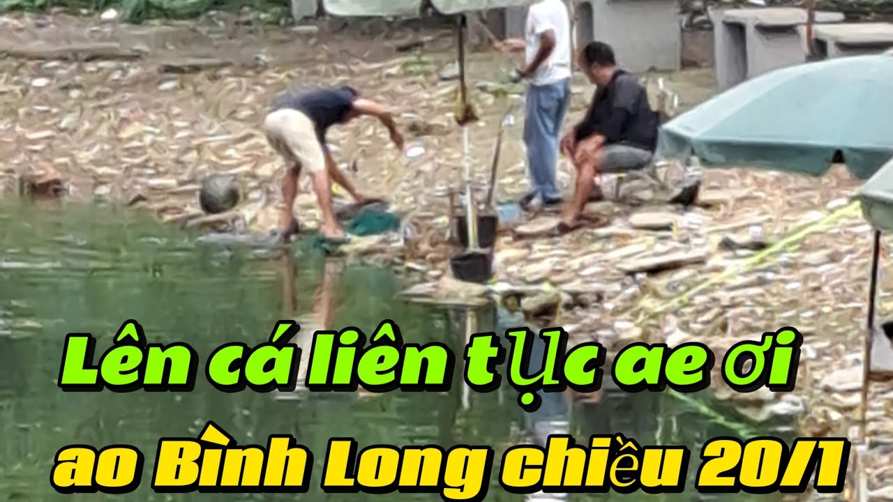 ao Bình Long chiều 20/1