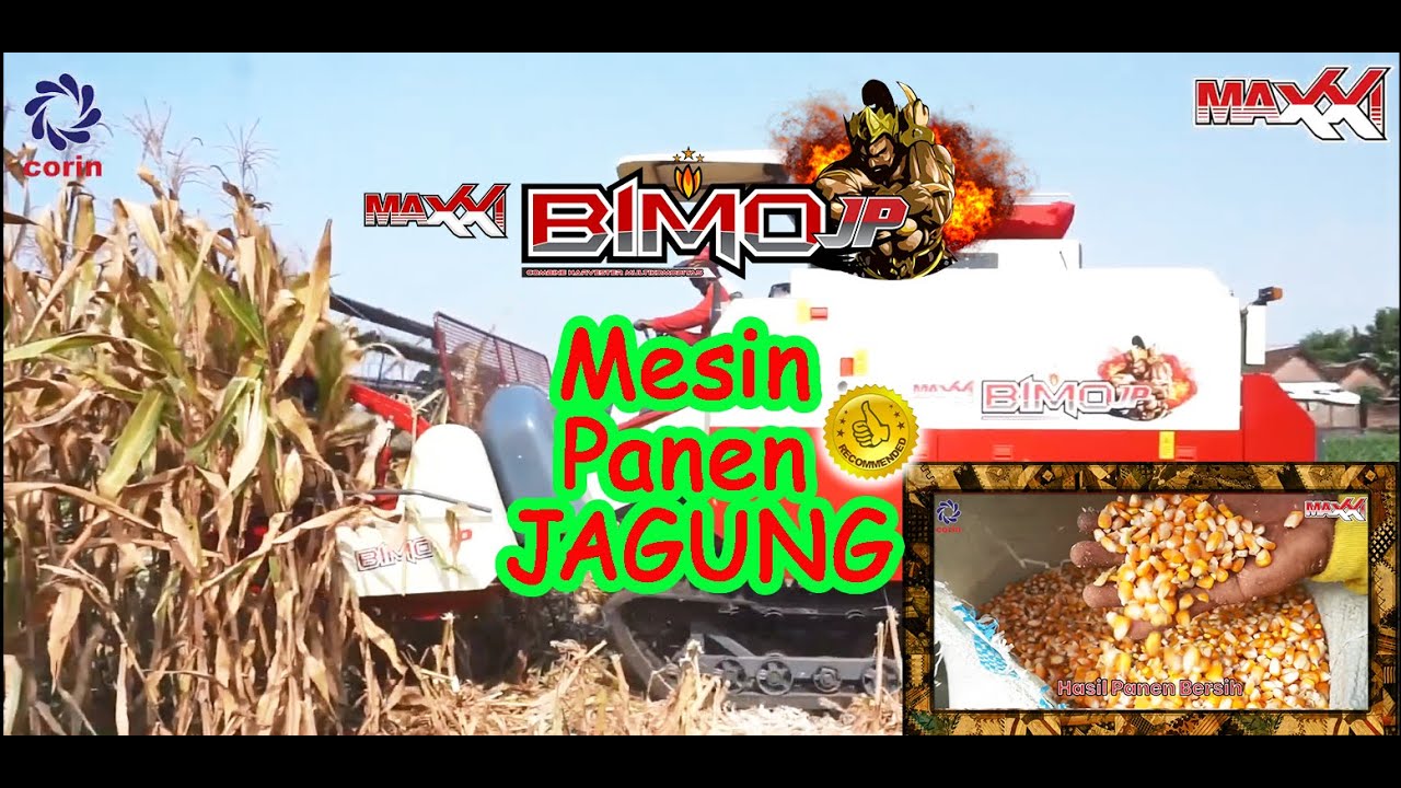 MAXXI Bimo JP - Mesin Panen Jagung #combineharvester #pertanian #alsintan #maxxibimo #petani #panen