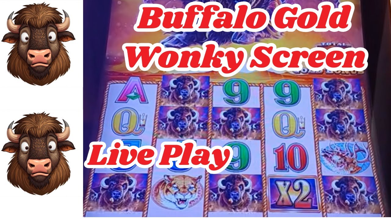 Buffalo Gold Wonky Screen Live Play