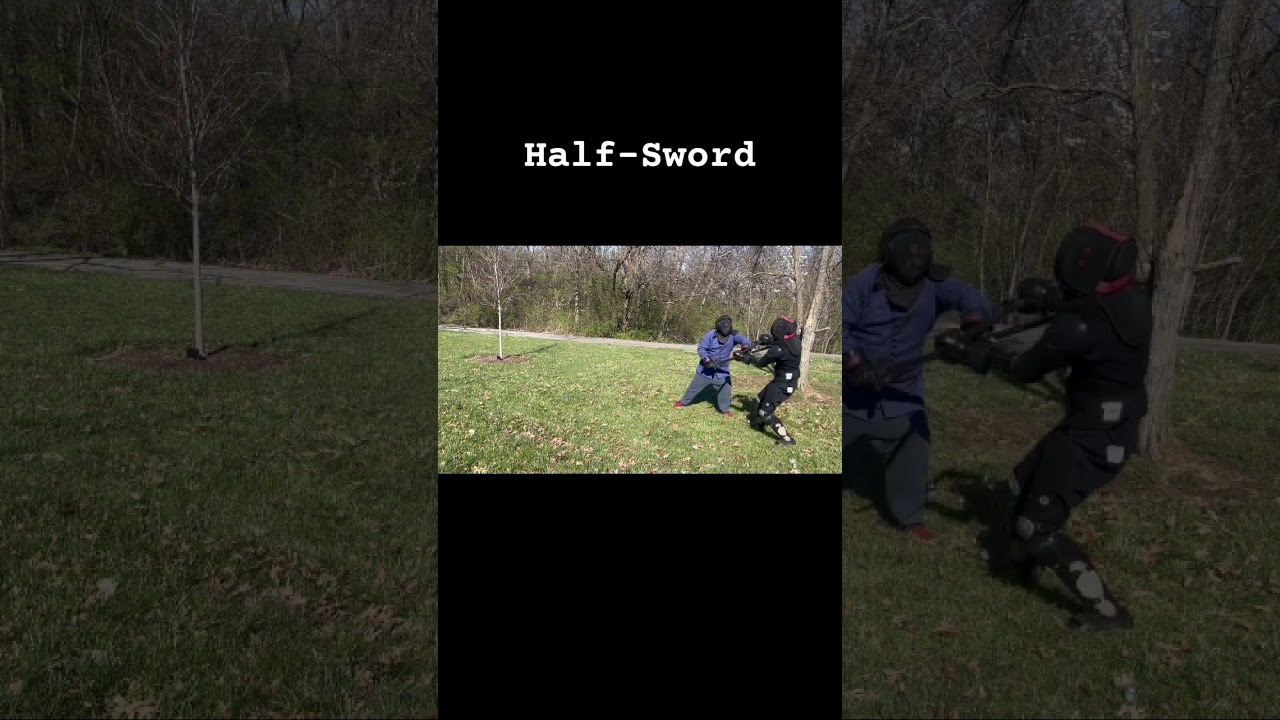 Training the Half-Sword #history #hema #fencing #historicalfencing