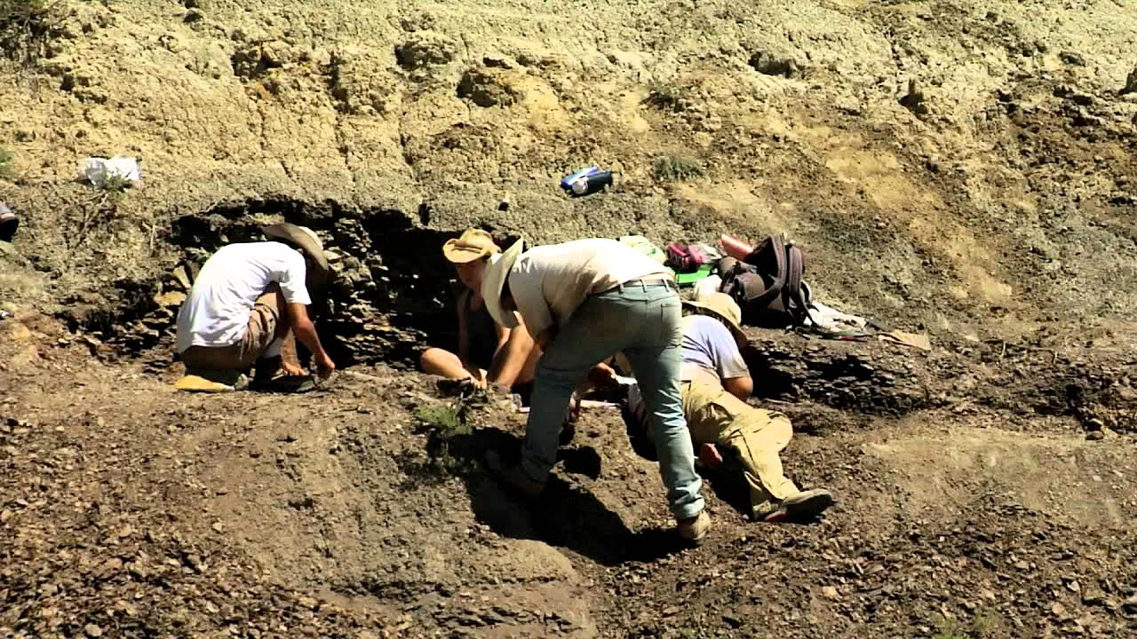 Hell Creek And the Search for Triceratops