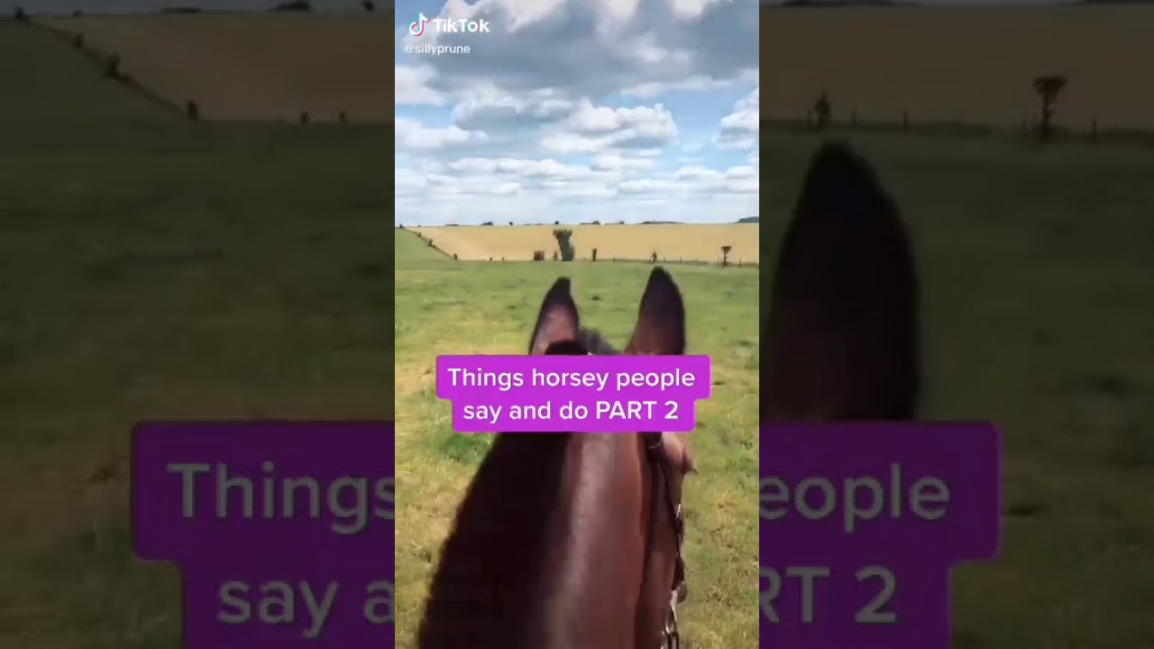 Tik toks for equestrians part 9