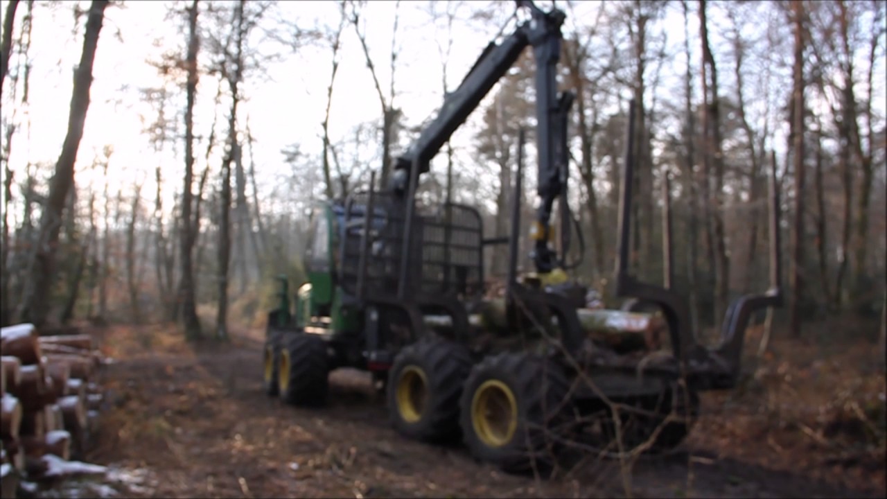 Debardeuse  en foret de Fontainebleau