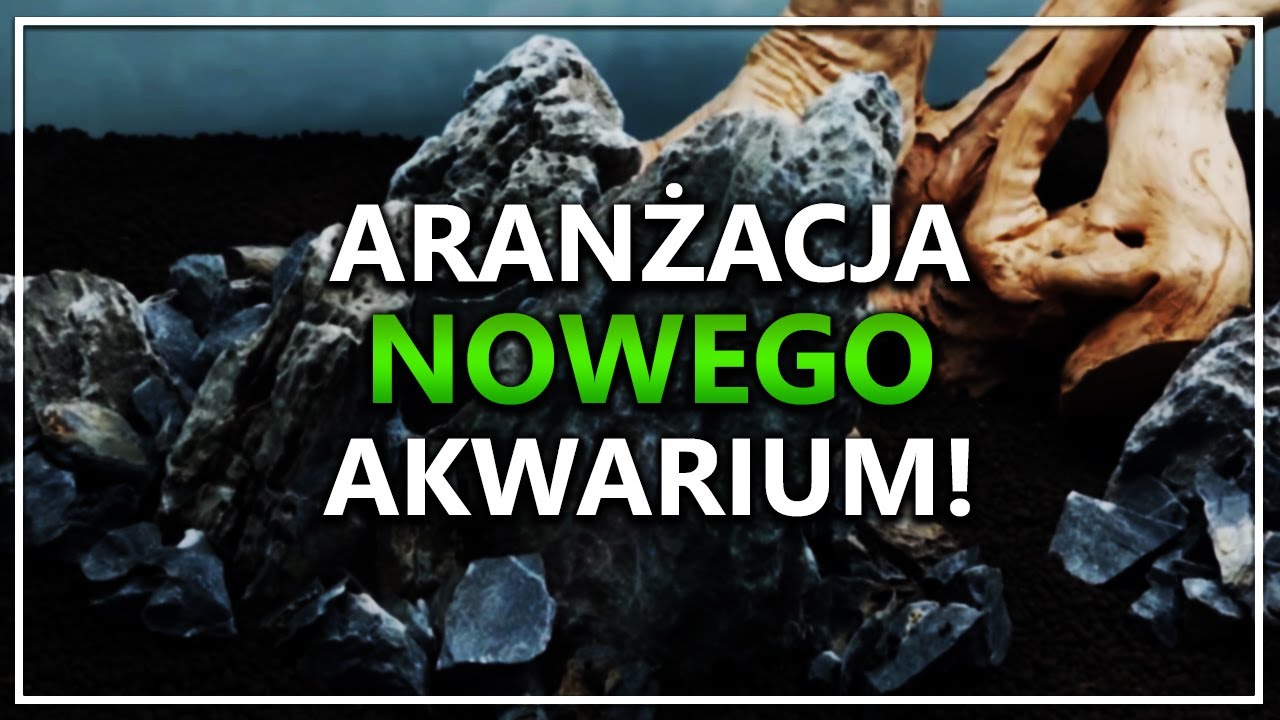 Aranżacja NOWEGO 240L akwarium! - AQUAEL OPTISET 240L