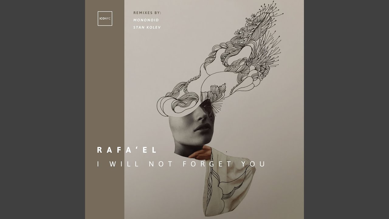 I Will Not Forget You (Stan Kolev Remix)