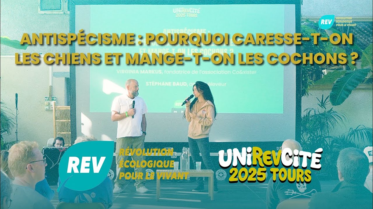 Antispécisme : pourquoi caresse-t-on les chiens et mange-t-on les cochons ? | UniREVcité 2025