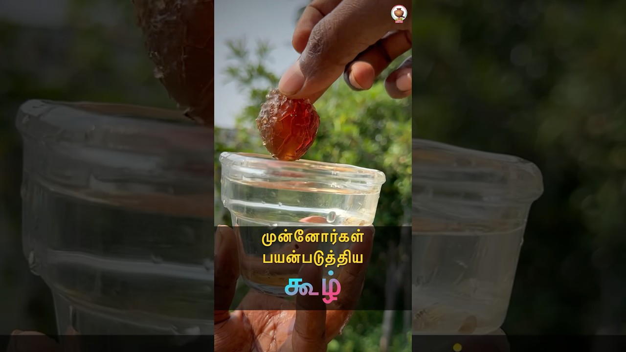 🌳 முன்னோர்கள் பயன்படுத்திய கூழ் 🍯 MudPot Channel