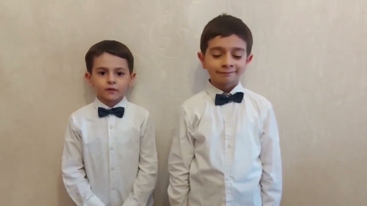 Ana Dili Gününə həsr olunmuş videoçarx