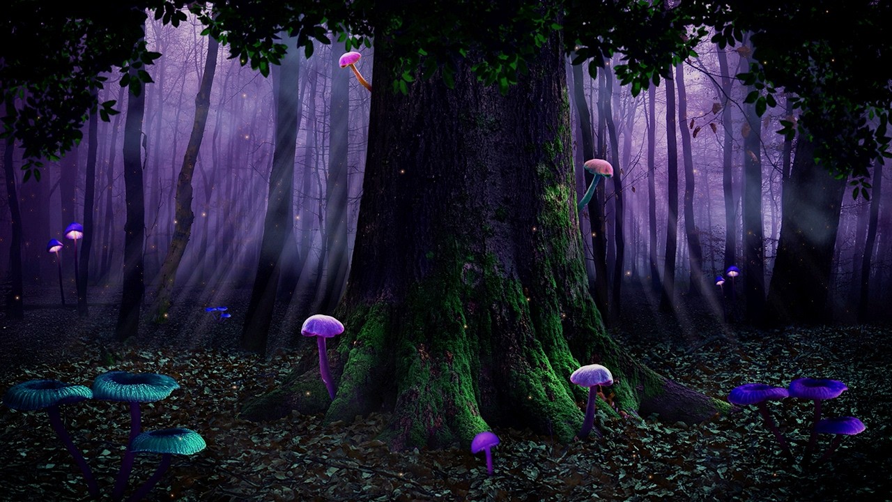 🍄 Enchanted Glowing Mushroom Forest 🌲 Calm Night Ambience for Sleep | Water, Crickets & Nature ASMR