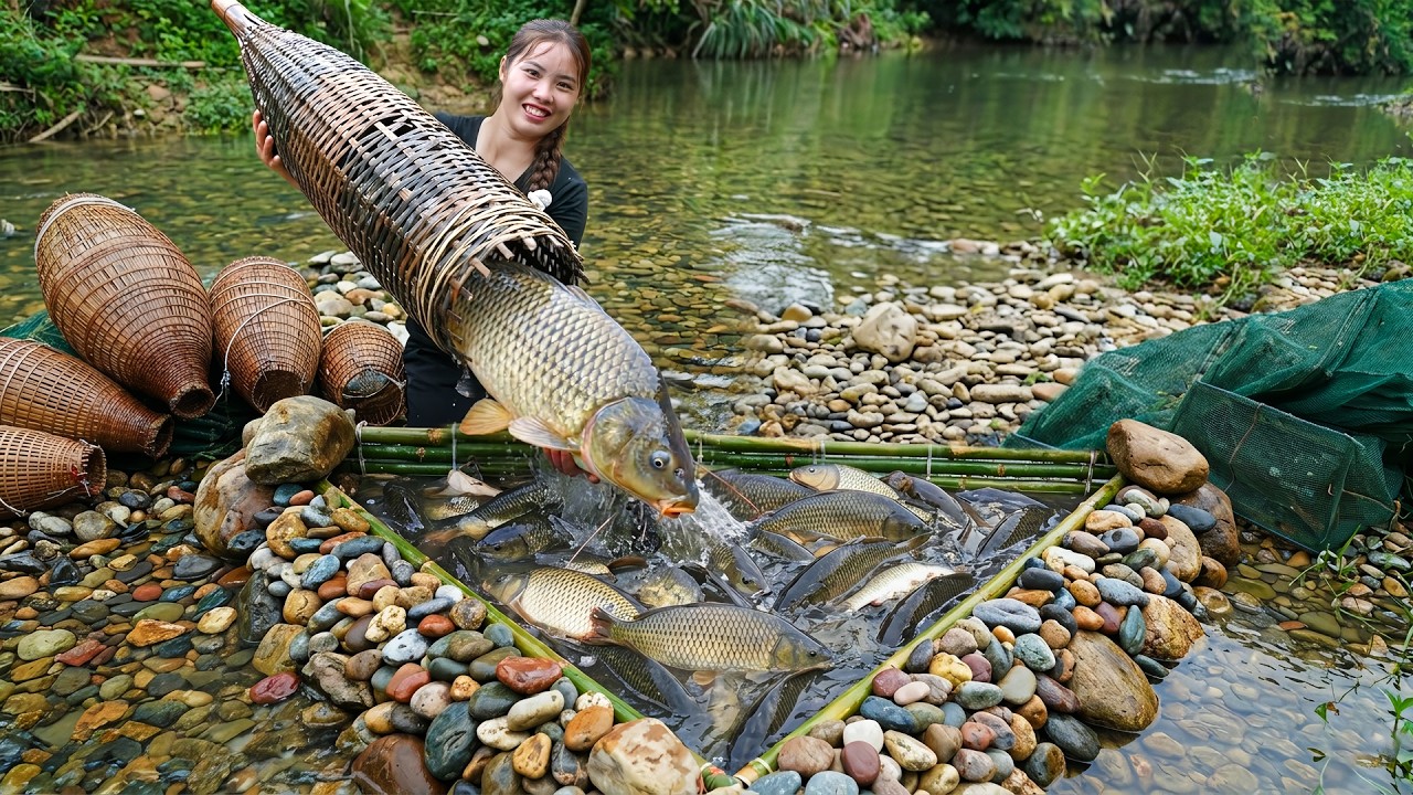 Setting Fish Traps After a Heavy Rain | Catching a Big School of Fish with My Kids for the Market