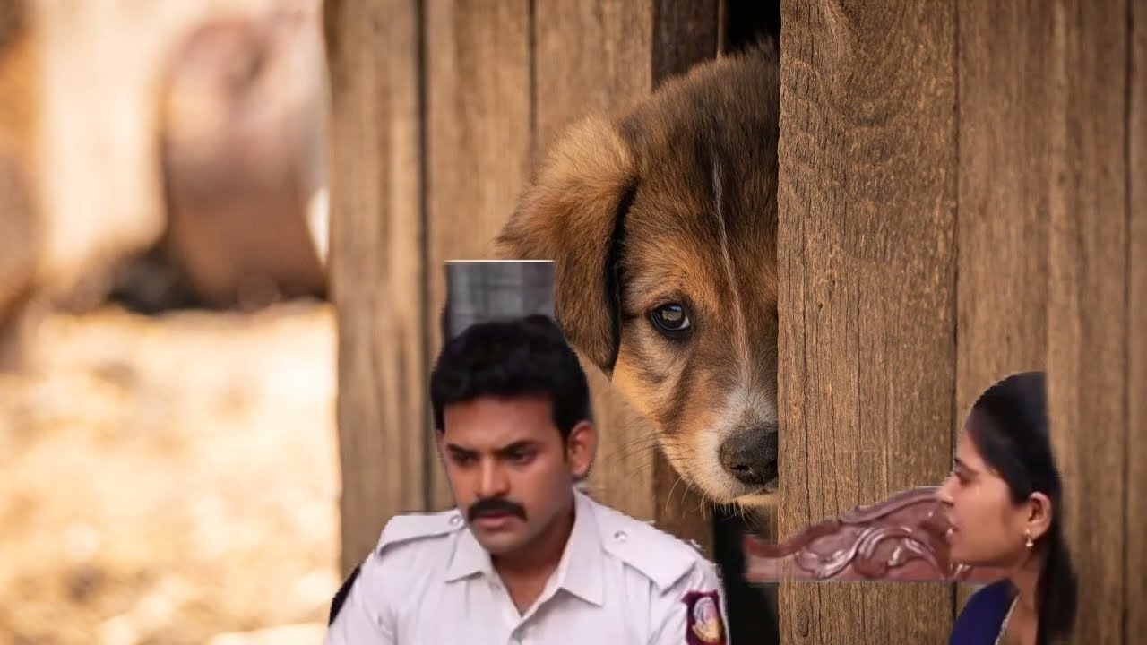 Siragadikka Aasai 4th to 6th February 2026 Review | Siragadikka Aasai Today Review 