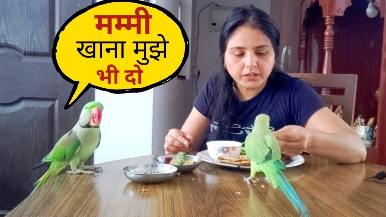 Mummy ke Sath Pablo Khana Khayega Mitthi Nahi