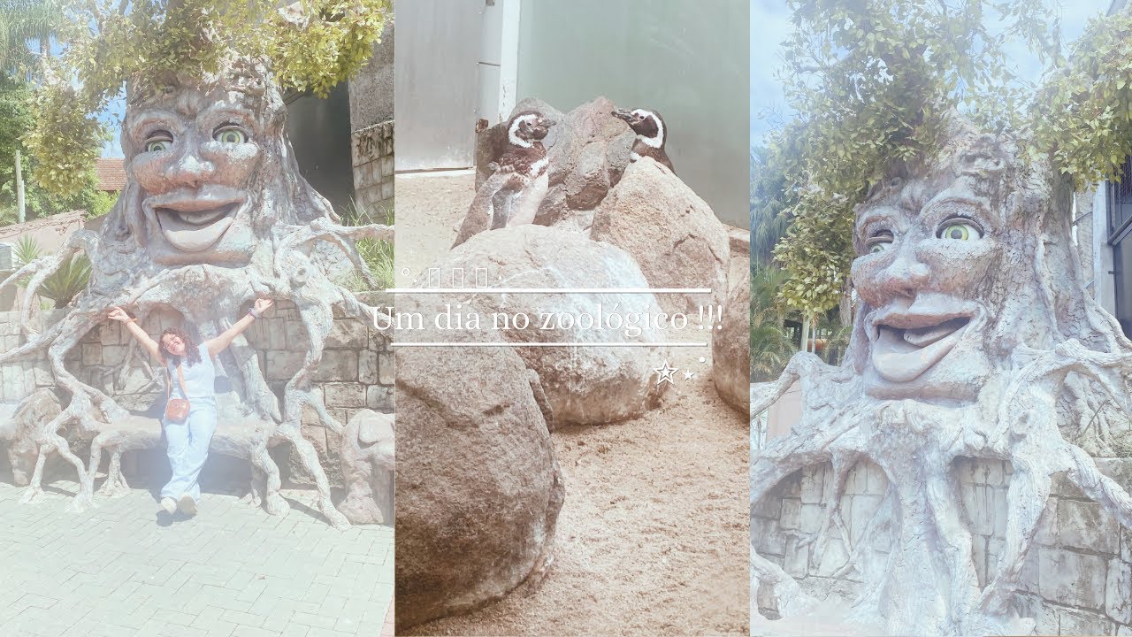  ˃ 𖥦 ˂ Um dia no zoológico 𖦹⋆. ݁˖.ᐟ