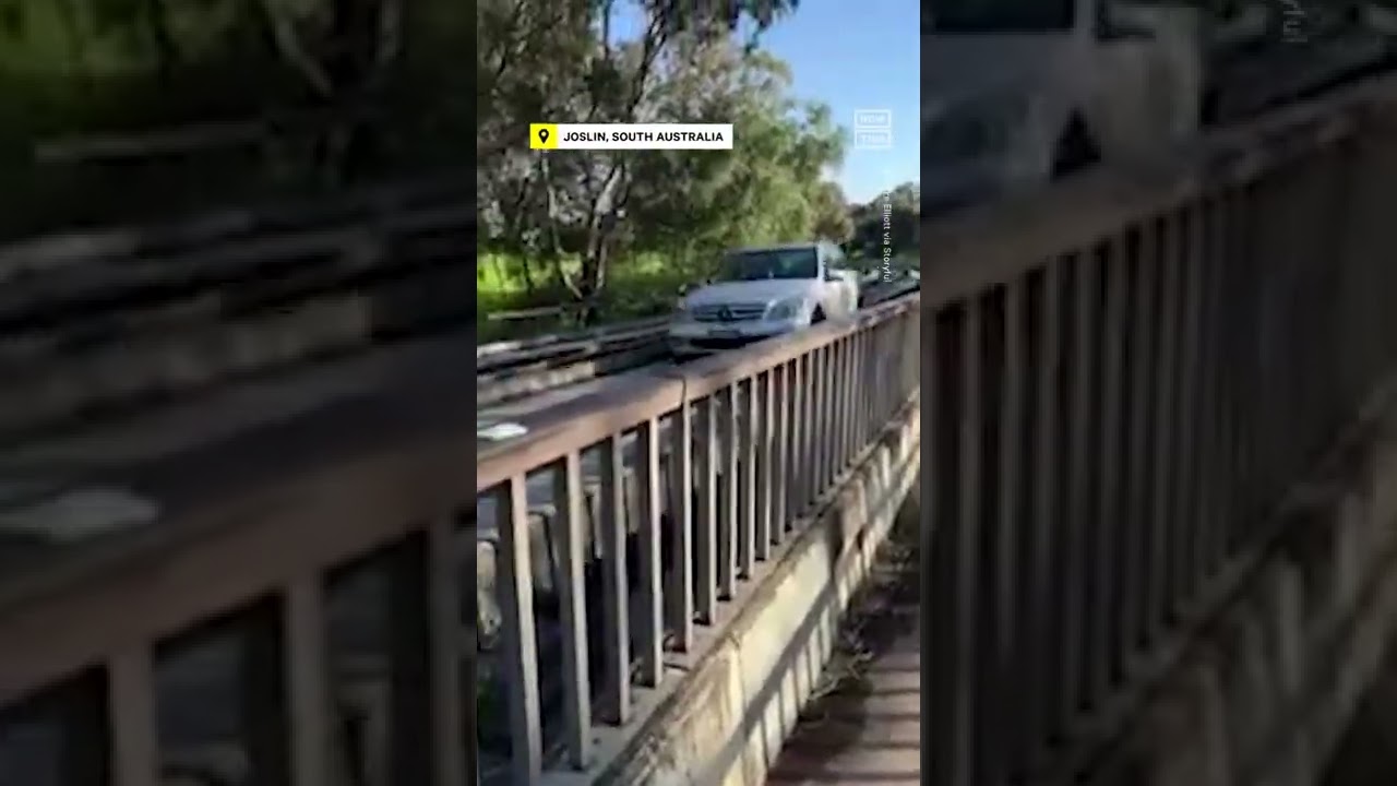 Motorist Accidentally Drives onto South Australia’s O-Bahn Tracks
