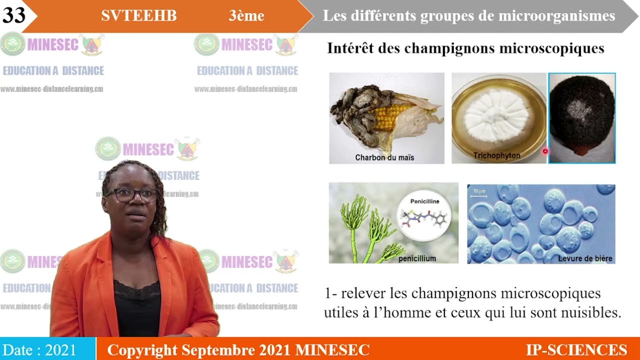 IP-SC SVTEEHB 3ème Leçon 7 Les différents groupes de microorganismes