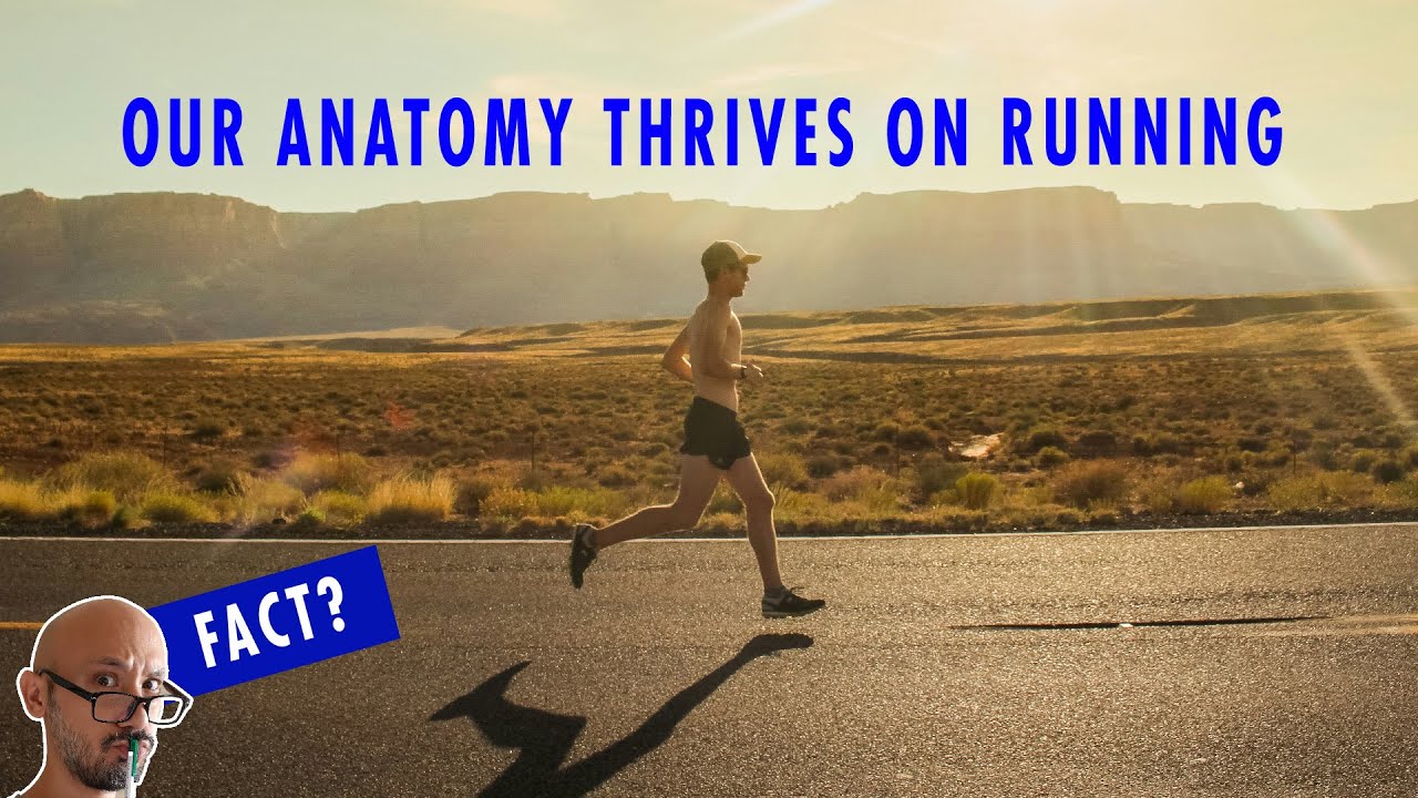 So HOW MUCH must YOU run for longevity? Can running REPAIR your joints???
