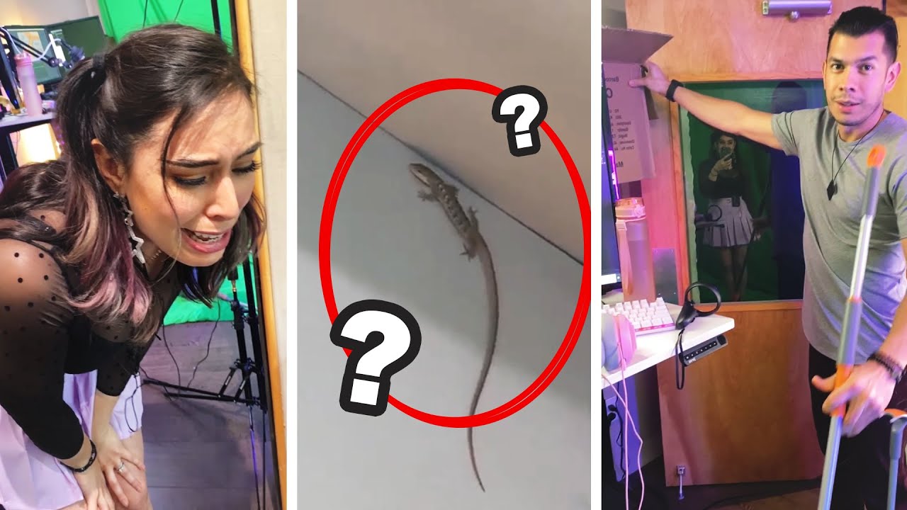 A Surprise Guest In Our Studio?! - Quarantine Vlog