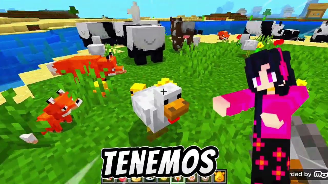  26.0 &Uacute;LTIMA versi&oacute;n oficial Para ANDROID review nueva actualizaci&oacute;n 2026