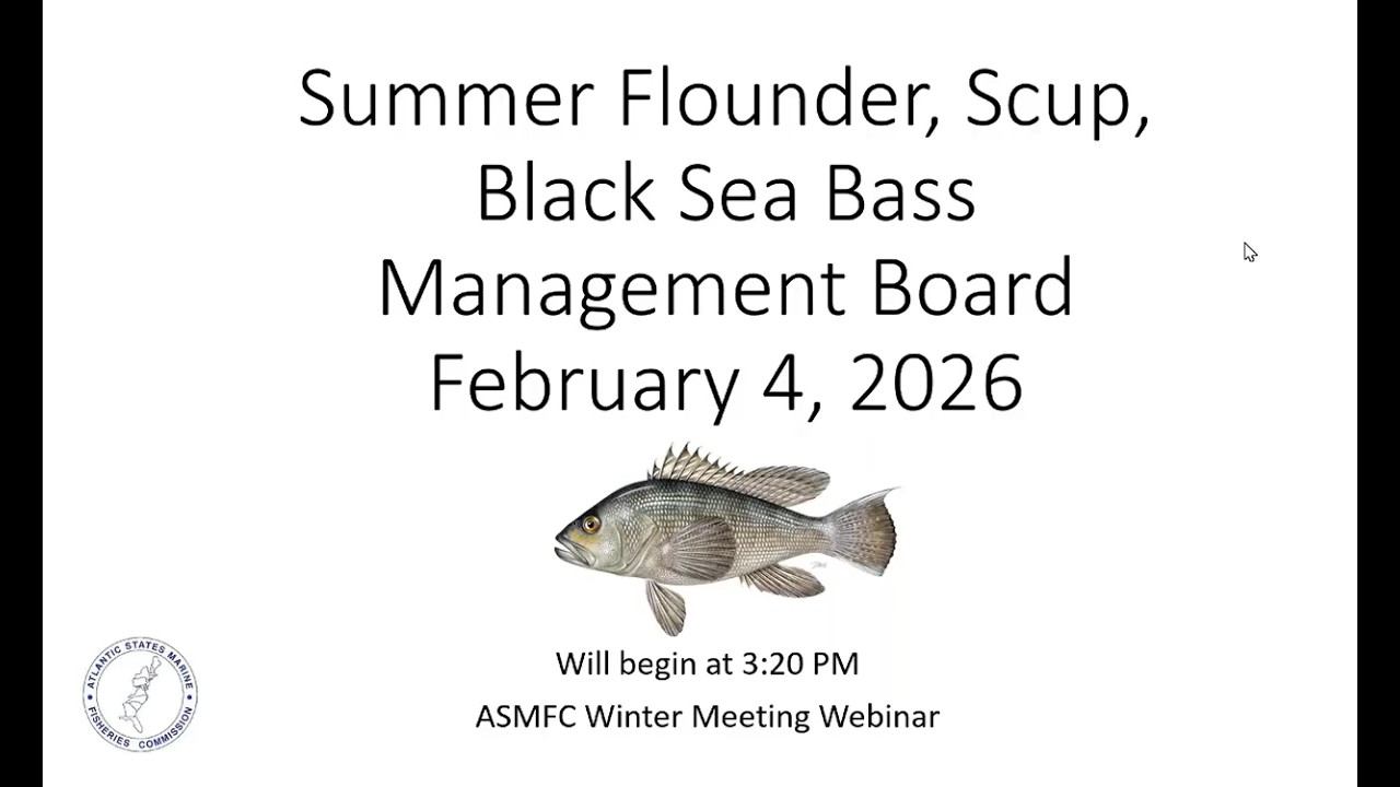 Summer Flounder, Scup and Black Sea Bass Management Board Proceedings February 2026