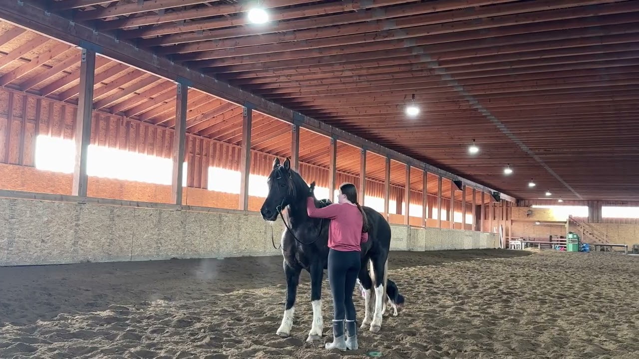 Samorra Random Mounting/Dismounting