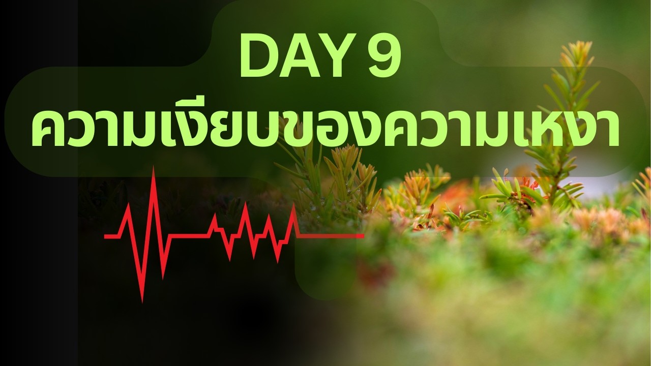 Day 9 – ความเงียบของความเหงา