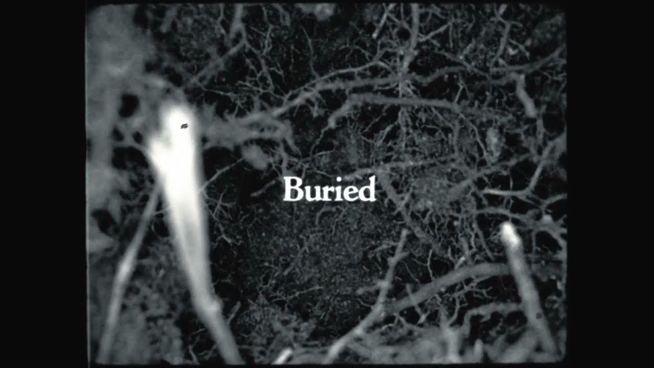 Snow Ghosts - Buried [Houndstooth]