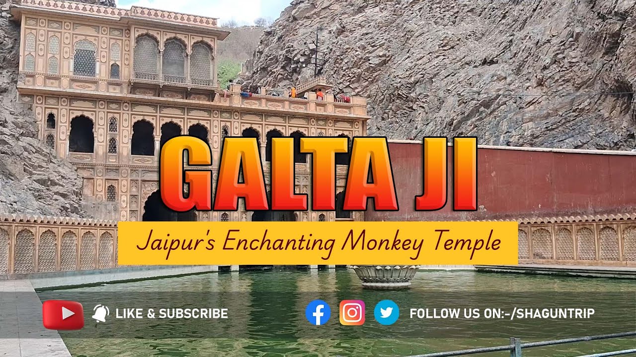 Galta Ji: The Enigmatic Monkey Temple of Jaipur | Revealed mystical Galta Ji | Galta Jaipur