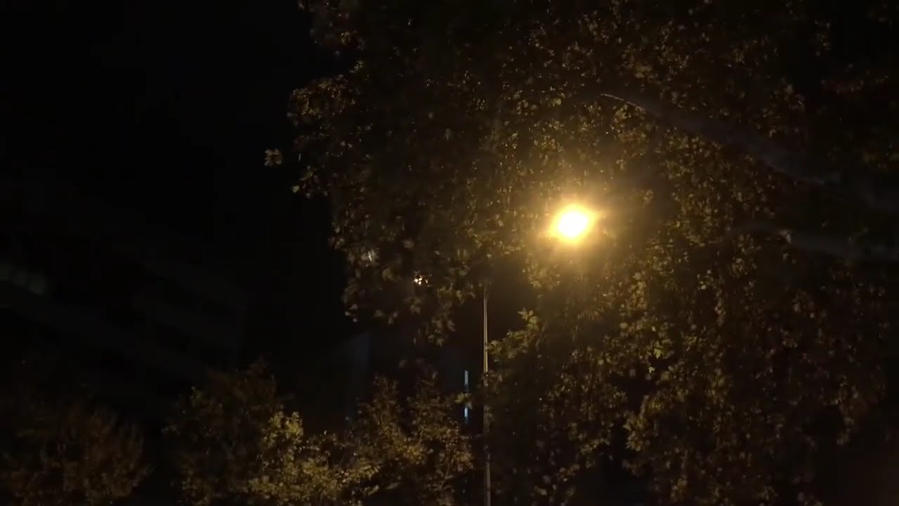 ANKARA / 25 nov 2022