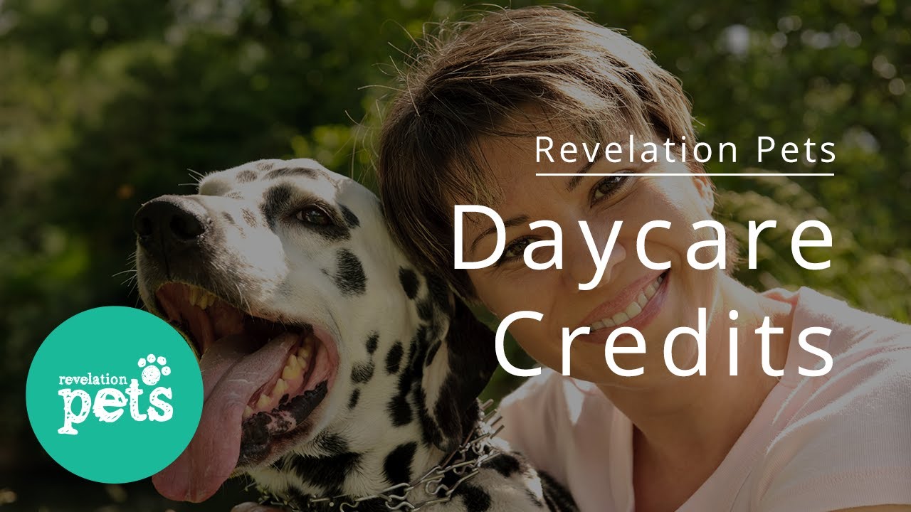 Daycare Credits