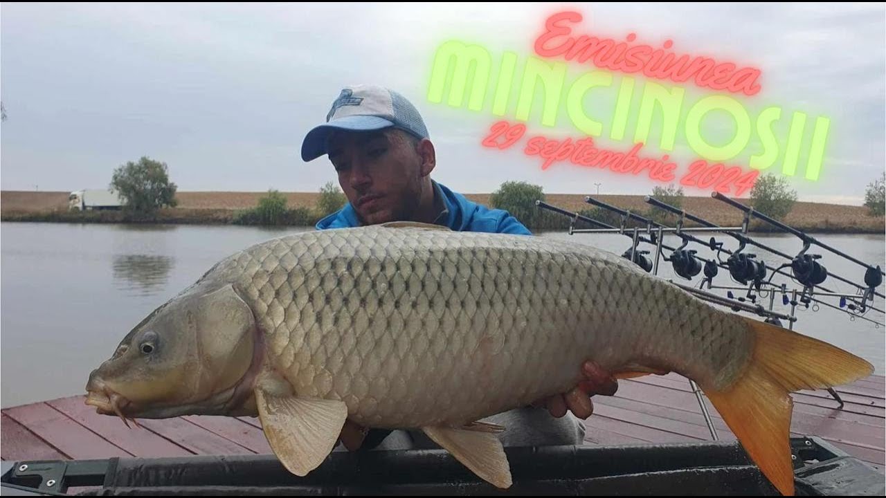 Mincinoșii - 29 septembrie 2024