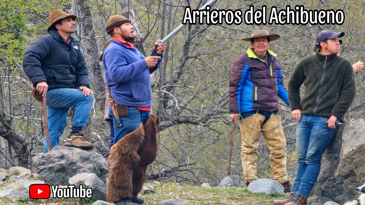 Arrieros Cajón del Achibueno Camino a la Cruzada por la Nieve Las Lástimas una gran Odisea Vivimos