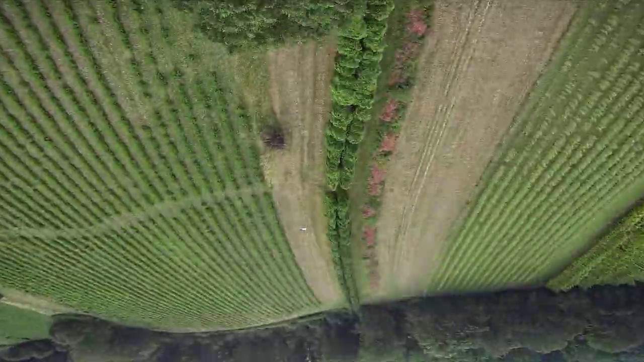 ACROBRAT FPV FREESTYLE // NEW BRAT...NEW SPOT!