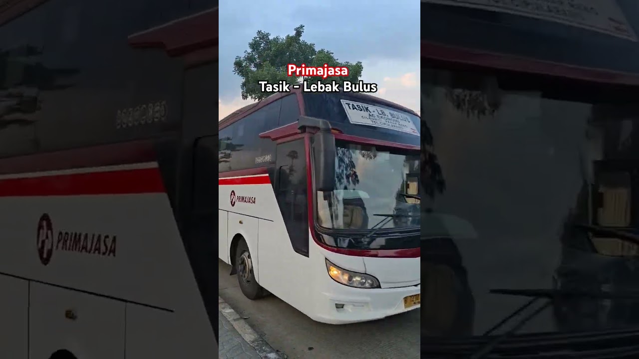 Primajasa Tasik - Lebak Bulus #primajasa #bus