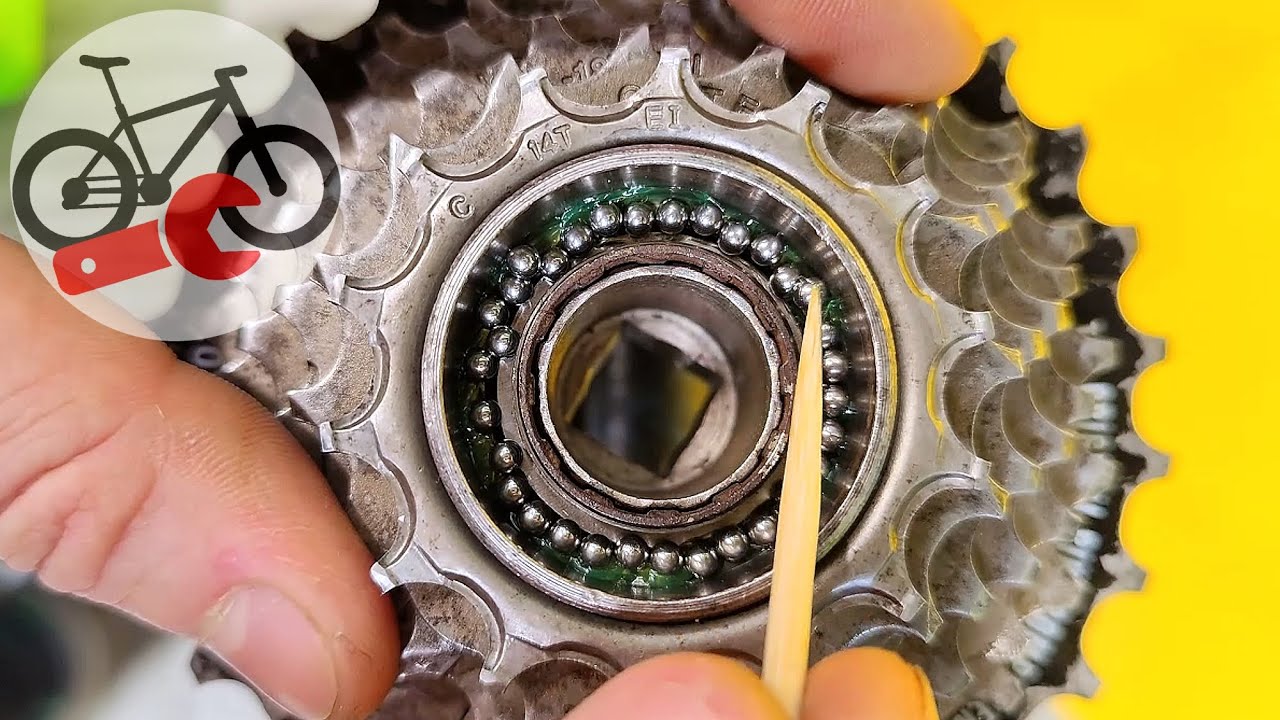 How to service bike freewheel ? Lubrication bicycle freewheel bearings.