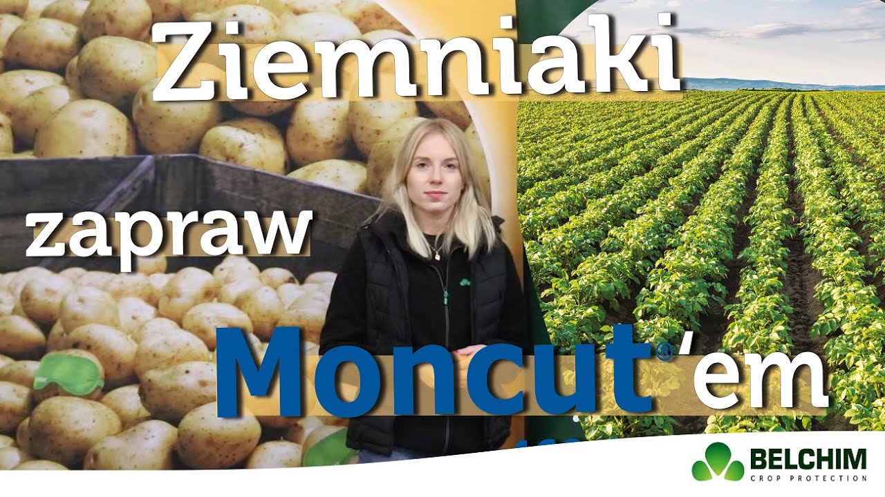 Ziemniaki zapraw Moncut'em.
