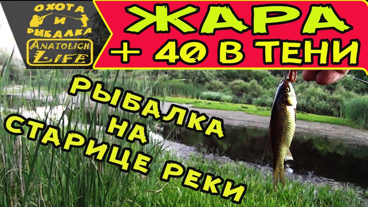 Рыбалка в жару! Карась в июле.