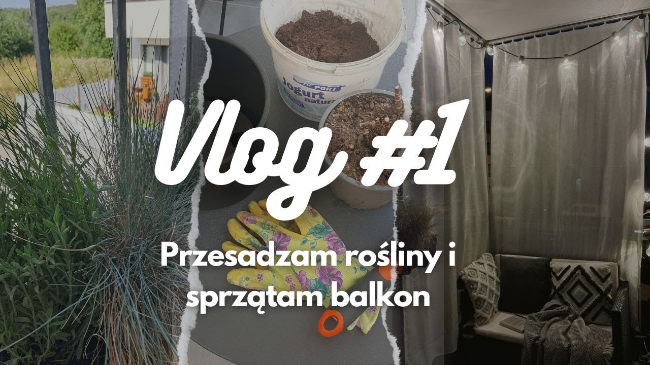 🪴👩‍🌾🪻Przesadzam hortensję i lawendy, sprzątam balkon i go pokazuję🧹🪣🧼 || Minivlog #1