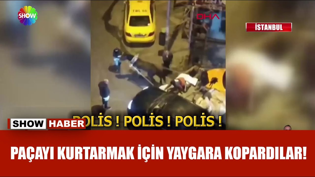 At arabalı kadın hırsızlar suçüstü yakalandı!