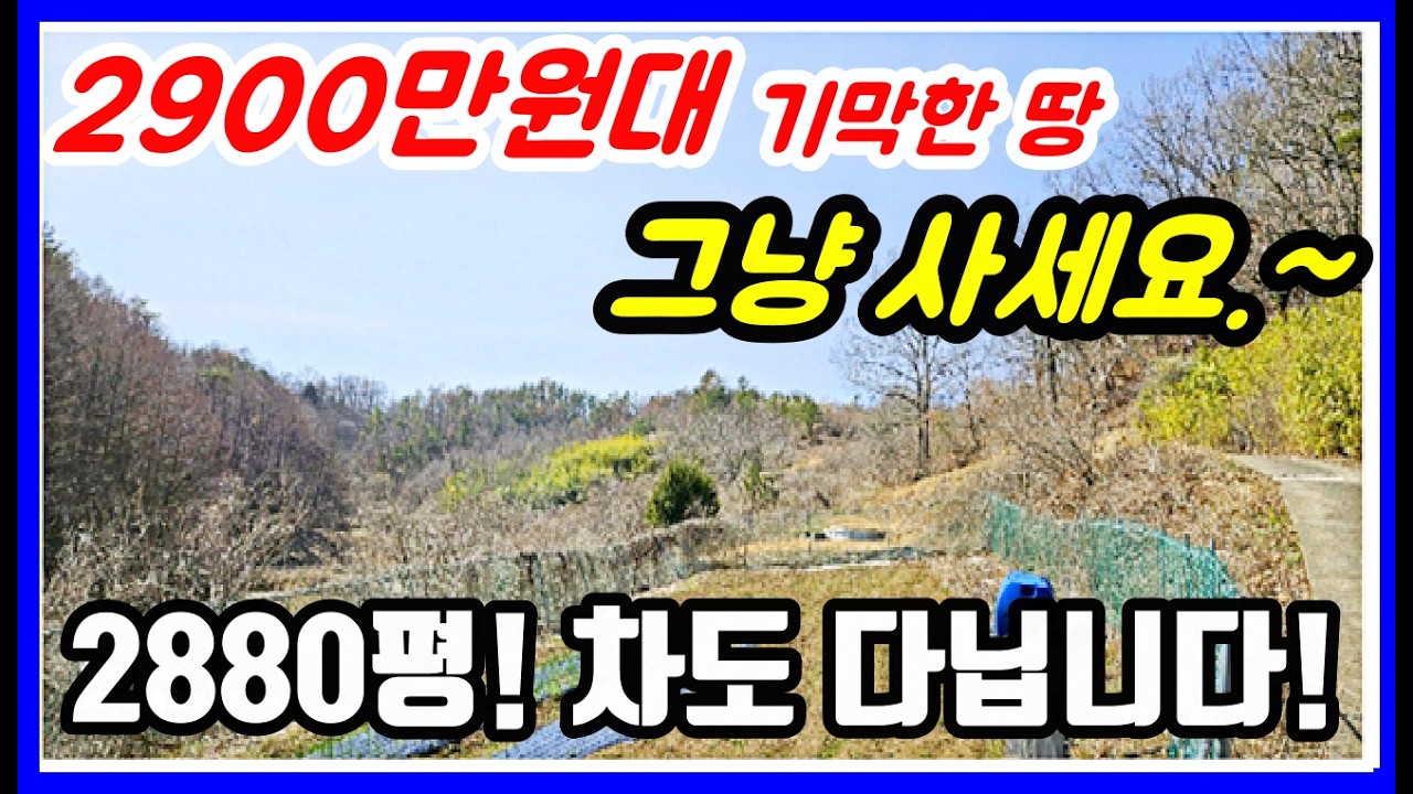 그냥 사세요! 차도 다니는 2880평 지적도로 접한 경북 임야! 촌땅 시골땅 포항부동산 포항토지 #착한부동산