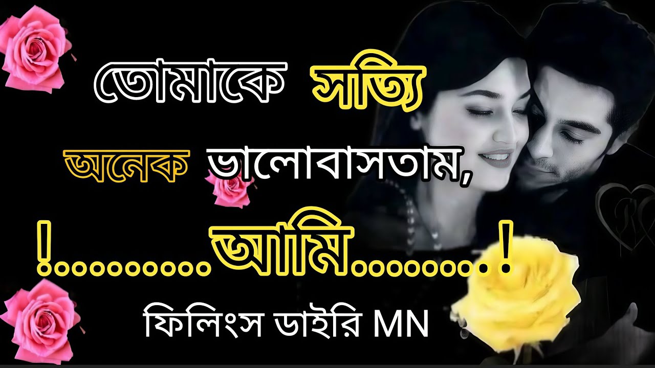 তোমাকে সত্যি অনেক ভালোবাসতাম আমি..... ❤️🌹💞💯 ফিলিংস ডাইরি MN