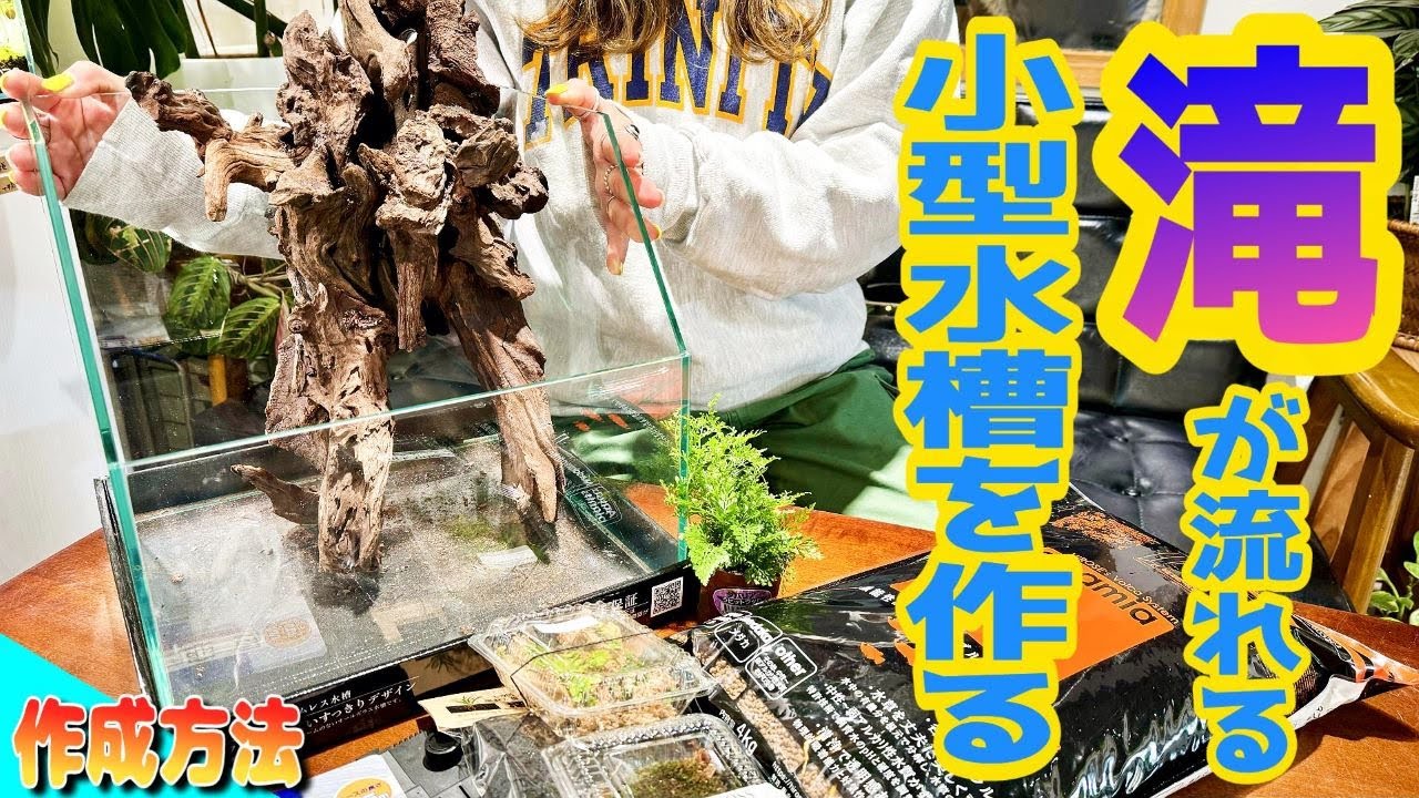 【アクアリウム】滝の流れる30センチ水槽を作る（流木の選び方や骨組みはどのように作るの？滝の流れるアクアテラリウムを作ってみよう）