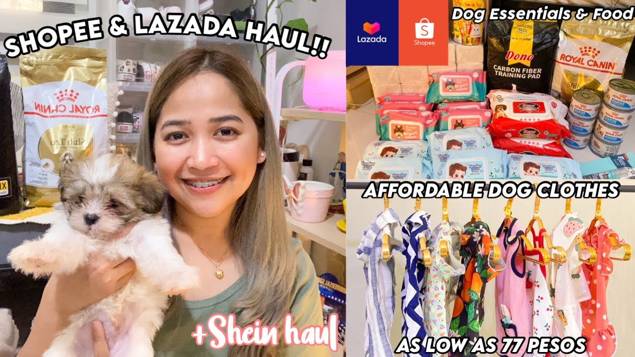 AFFORDABLE DOG CLOTHES AND DOG ESSENTIALS (Shopee, Lazada & Shein Haul)