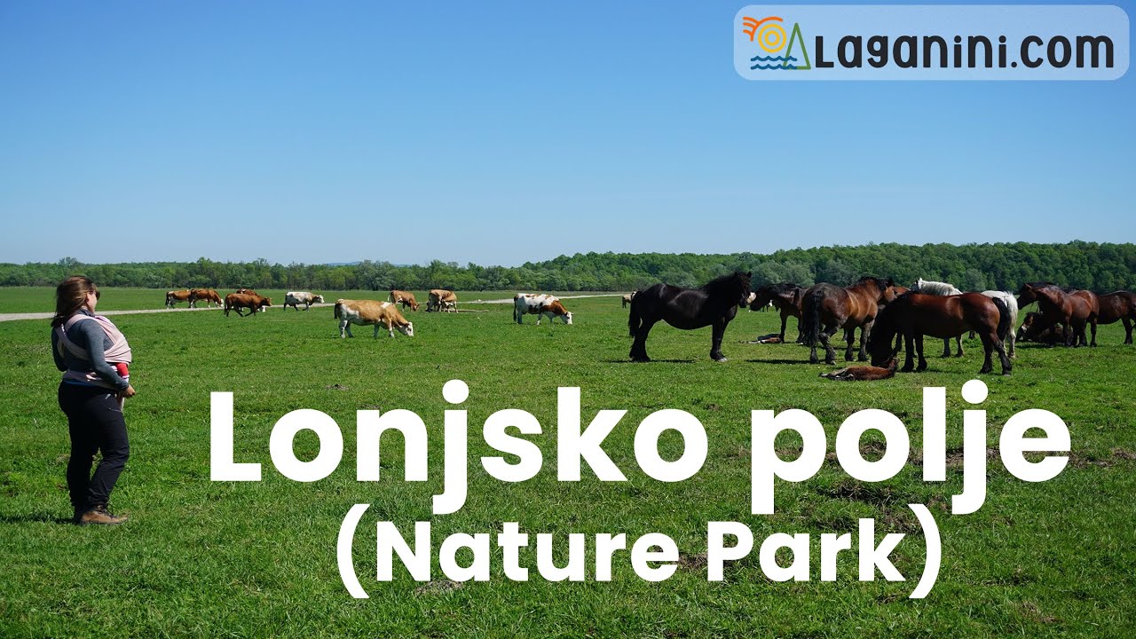 Lonjsko polje (Nature park), Čigoč - Croatia | Laganini.com