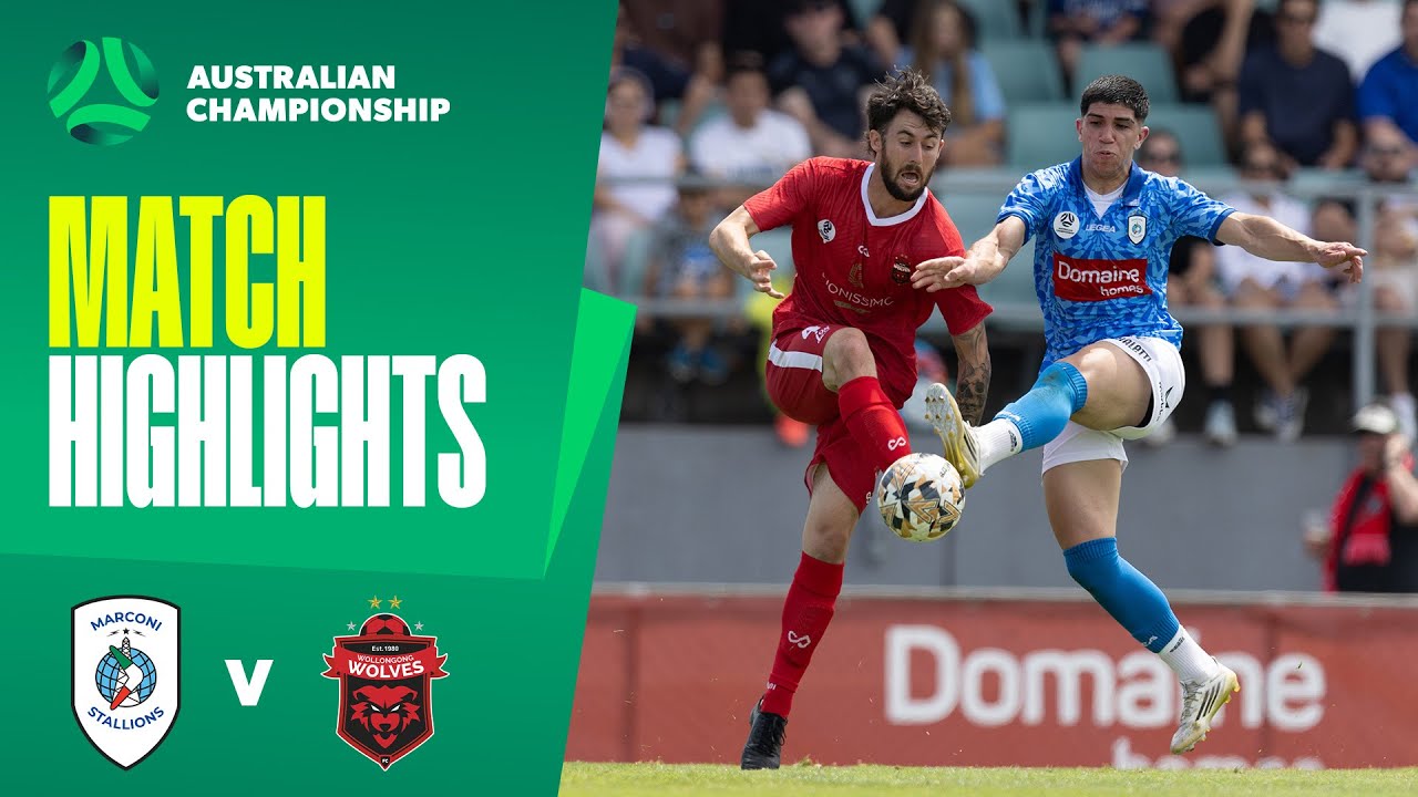 Marconi Stallions v Wollongong Wolves | Highlights | 2025 Australian Championship Round 3