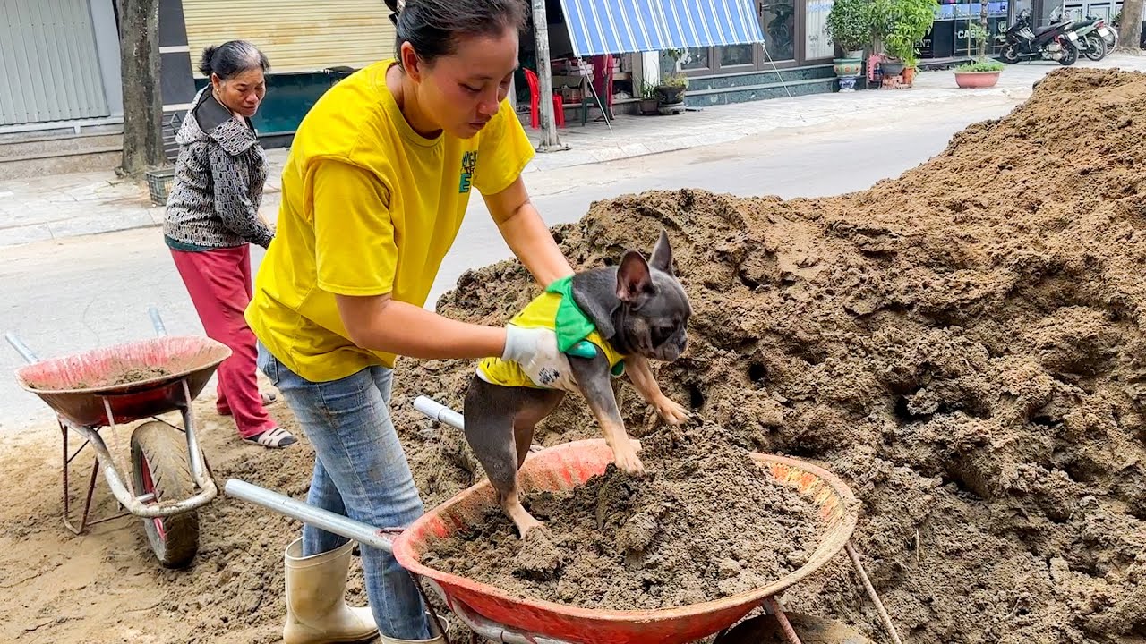 Mun Dog was friendly with the female workers, making them very happy