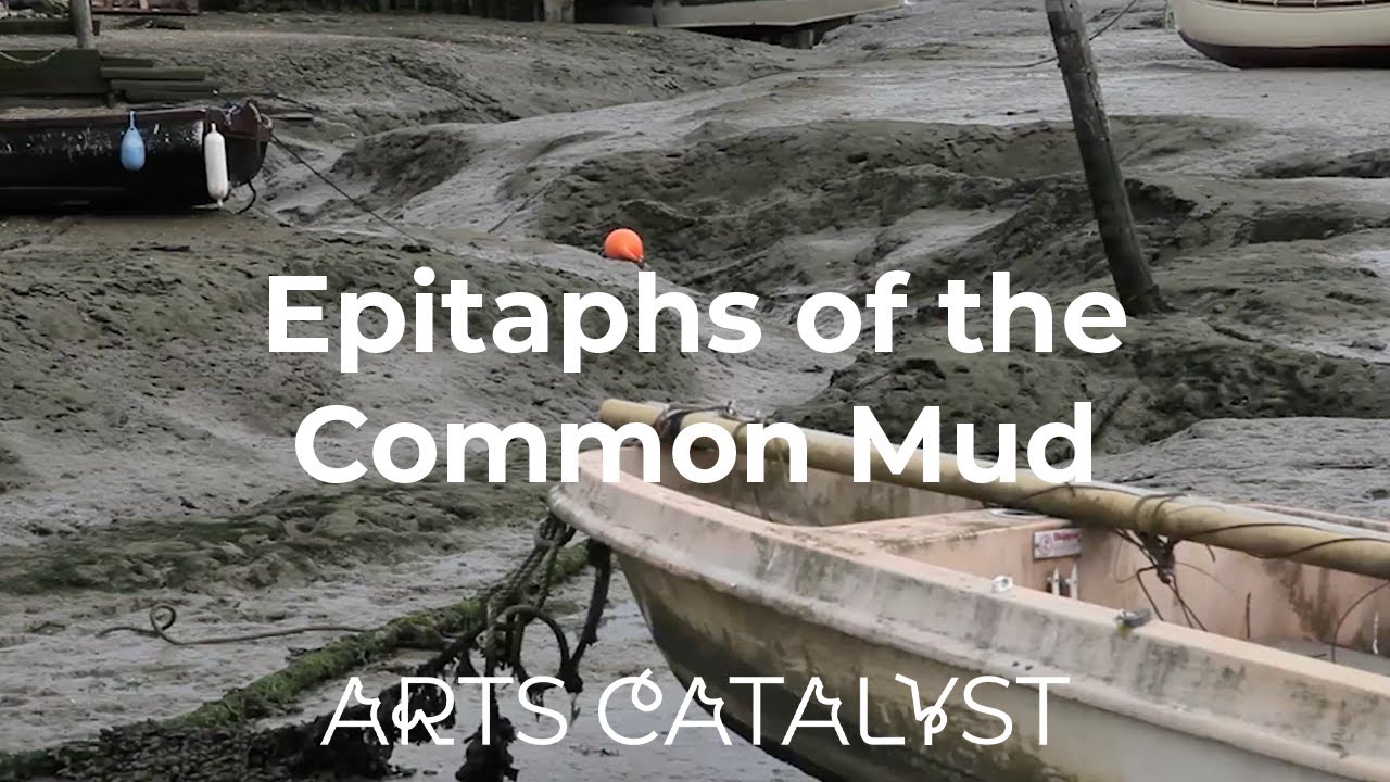 Epitaphs of the Common Mud | Wrecked on the Intertidal Zone