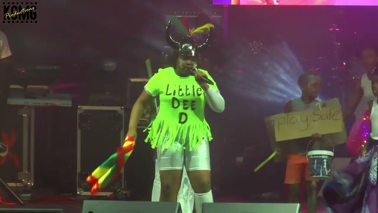 Выступление фонда Little Dee D Fundaytion в 2026 году