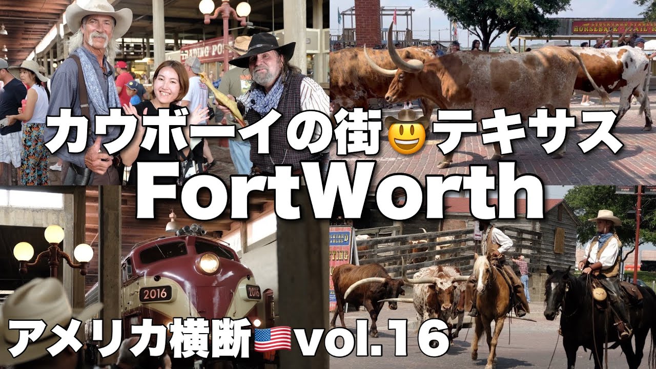【カウボーイの街テキサス！】カウボーイ！ロングホーン！ステーキ🥩！キャンピングカーでアメリカ横断🇺🇸